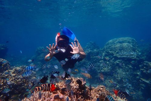 Paket Trip Karimunjawa